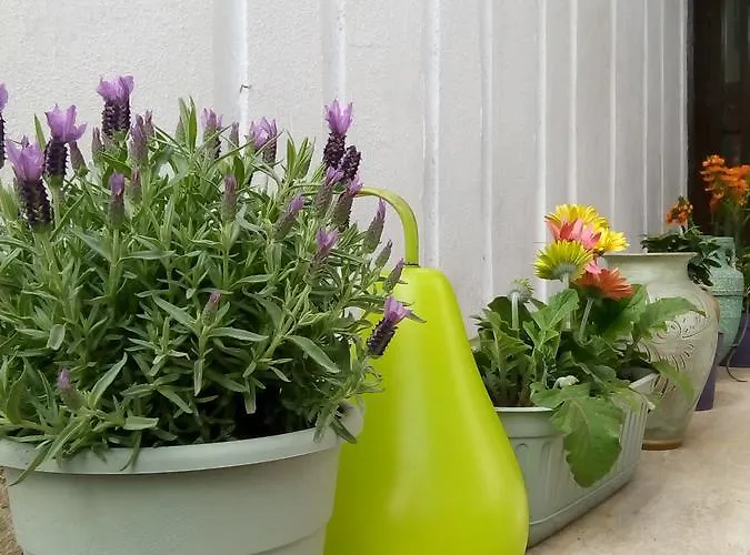 Bed and breakfast Aquarius Roma